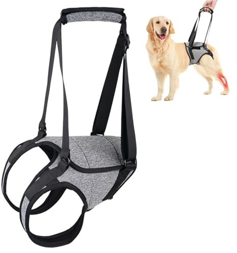 Tokaneit Harnais de Levage pour Chien Gri XL Harnais de Soutien Réglable pour Les Pattes Arrière,Aide à la Marche avec Soutien pour Les Jambes Arrière,pour un Poids Corporel de 26 à 40 KG