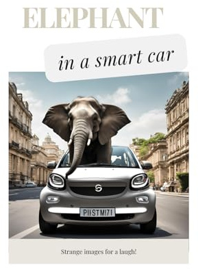 Elephant in a smart car: Strange images for laughs