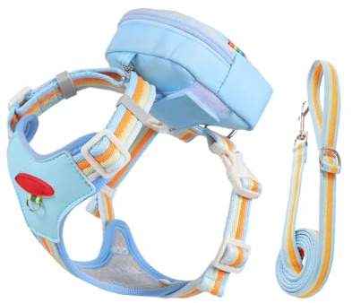 Harnais pour Chien | Accessoires pour Animaux Ajustables Et Respirants | Harnais Anti-Traction avec Corde et Laisse - pour Activités Shopping Course Promenades