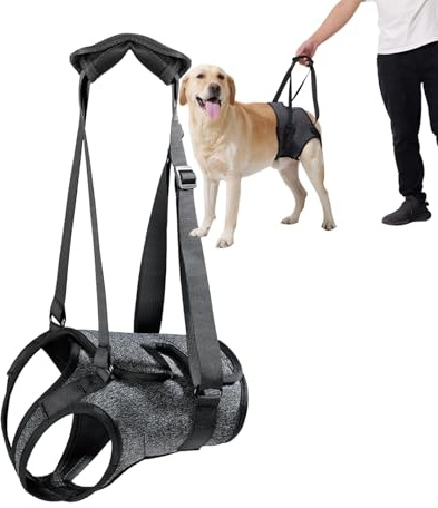 Dog Halter Harnesses, Adjustable Lift Hanress For Large Dogs, Dog Sling For Medium Dogs Hind Leg Support To Help Rehabilitate, Soft Padded Dog Support Harness For Elderly, Injured, Arthritic(Medium)