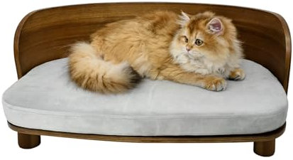 BingoPaw Modern Katzensofa groß Katzen, Holzgestell mit Katzenbett, Elegante Haustiersofa mit Rückenlehne, 66x38 cm
