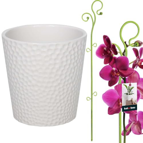 KOTARBAU® Pot de fleurs blanc en céramique émaillée 15 cm avec support pour plantes vert en PVC 58 cm Pot à orchidées en céramique avec support floral Aide à la montée des plantes Pot pour orchidées