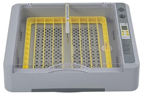 Brutautomat Vollautomatisch, Automatisches Inkubator 36 Eier, Inkubator mit LED-Anzeige, Brutmaschine Temperaturregelung für Eier, Wachteleier, Papageieneier, Taubeneier