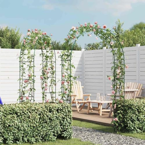 Ordellia 2 arcos de jardín para rosas de hierro, 140 x 39 x 240 cm, color verde oscuro para ayudar a escalar rosas clemátides paso en terraza