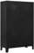 vidaXL Kleiderschrank Industriell Garderobenschrank Umkleide Stahlschrank Schrank Metallschrank Umkleidespind Spind Stahlspind Schwarz 90x40x140cm Stahl