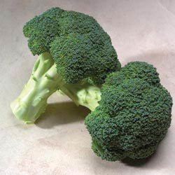 Broccoli Gypsy 1,000 Seeds