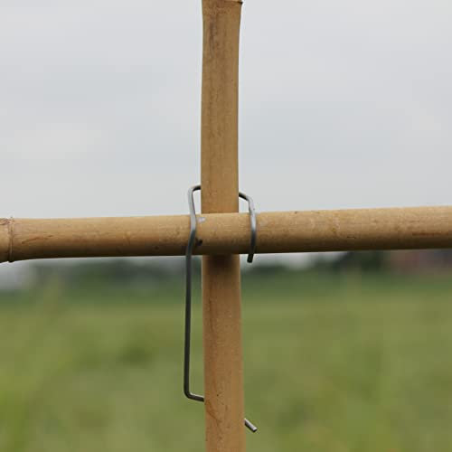 Velto Bambusklammern Tonkinklammern 100 Stück zum Bambusgitter Rankgerüst selber Bauen optimale Rankhilfe