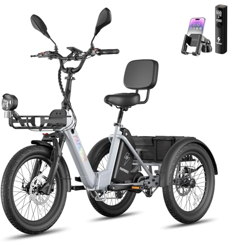 Fafrees Triciclo Eléctrico F20 Mate II, Motor de 250 W, 2 Cestas, Triciclo Eléctrico Plegable de Carga de 20 x 2,5 para Adultos, Alcance 100km (Gris Escarcha, Amperio-Hora, 25)