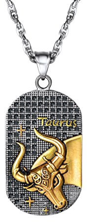 PROSTEEL Anhänger Halskette, Sternbilder Sternzeichen Stier Dog Tag Erkennungsmarke Anhänger mit Kette, Edelstahl Horoskop Astrologie Halsschmuck