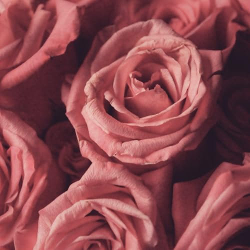 Mein Poesie Album - ein quadratisches Buch zum Zeichnen, Schreiben, Philosophieren mit Skizzen- und Fotoseiten von Seraphiiia-Design | Ideal als ... Malbuch, Skizzenheft, Zeichenbuch | Rosen