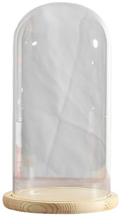COYOUCO Présentoir en Verre Cloche dôme avec Base en Bois Massif pour Exposer des Plantes, des Ornements, des Figurines, des dia15cm Hauteur30/35cm,Dia15*H35cm
