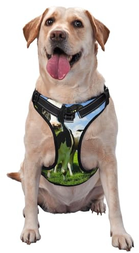 Manger des Vaches dans Les pâturages d'été,Harnais pour Animaux de Compagnie, Harnais réfléchissant réglable pour Chien,L