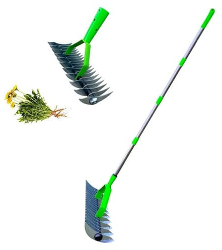 TTXSDYD Aérateur de pelouse - Scarification manuelle - Avec poignée - Aérateur de pelouse - Outil de jardinage pour enlever la mousse - 1,7 cm