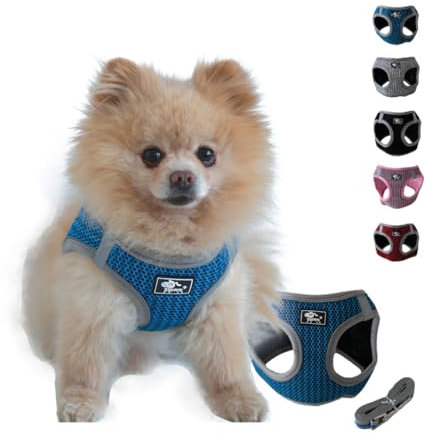 NEEZ Premium Geschirr für Katzen und kleine Hunde mit Leine | Super Bequeme Katzenweste | Ausbruchsicher und atmungsaktiv | Farbe: Blau/Grau Größe: S