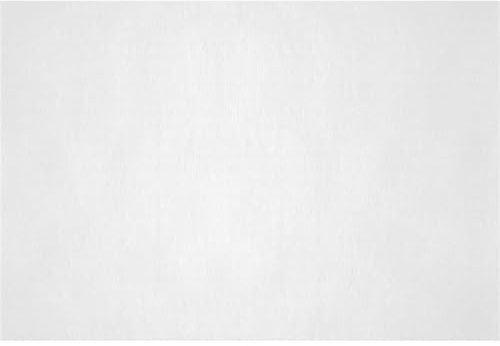 PRIETO LARREY - Pack 1000 Manteles Individuales de Papel Reciclado - Mantelines Reciclados - Ideal para Servicio a la Mesa - 30 x 40 cm (1000, Blanco)