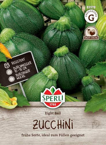 83578 Sperli Premium Zucchini Samen Eight Ball | Zuchini Samen | Früh | Ertragreich | runde Zucchini | Zuchini Saatgut | Zucchini Rund
