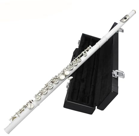 tvärflöjt instrument Nybörjarflöjt 16-hålsflöjt Professionell C-nyckelflöjt