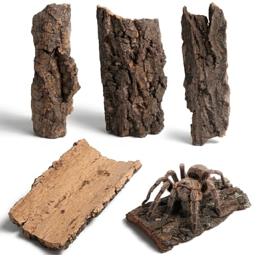 Veemoon Lot de 4 écorces de liège 2. 4 à 4. 5 cm d'écorce de reptile pour terrarium geckos, tortue, serpent, accessoires d'habitat