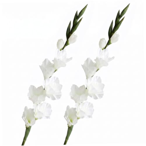 Bemonew Konstgjorda inomhusblommor, 2 st dekor vit gladiolus, 33 tum