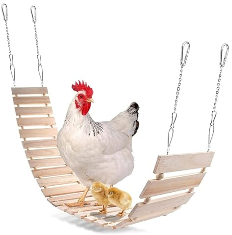 Lodoot Juguete de gallinero de juguete para gallinas, escalera de pollo de madera natural, columpio de pollo, percha para pájaros, aves de corral, gallo