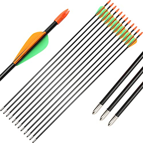 Pfeile für Bogenschießen Kinder,12er Set aus Fiberglas mit Spitze Metal Kinder Bogen 28 Zoll