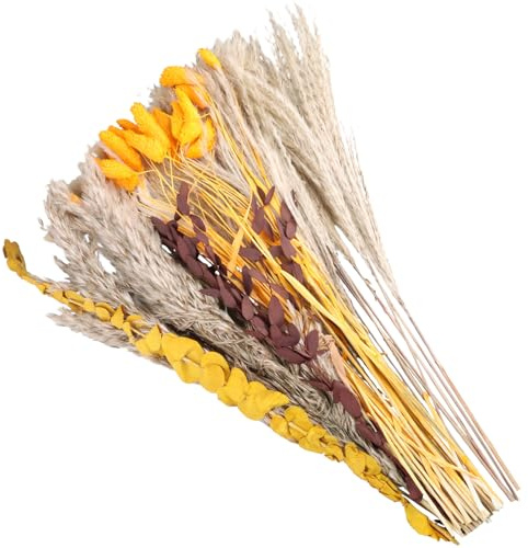 64 Pezzi Erba Della Pampas Bouquet di Fiori Secchi Naturali Decorazione di Erba di Pampa Essiccata Composizione Fiori Secchi per Arredamento Soggiorno Casa Vaso Tavolo Matrimonio Boho Decor