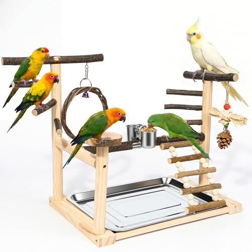 Kaliswell Bird Playground Wooden Parrot Stand for Small to Medium Birds