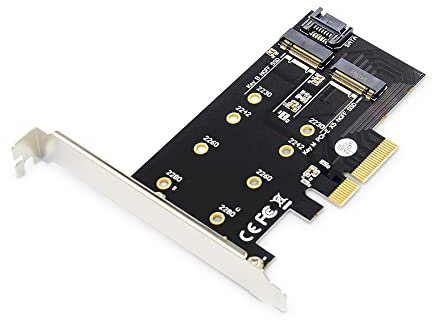 DIGITUS IO-Karte - PCIe - M.2 NGFF / NVMe Schnittstellenkarte - 2-Port - M.2 (2230, 2242, 2260 & 2280)