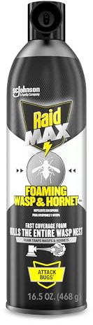 Raid Max Foaming Wasp & Hornet Killer, Fast Coverage Foam, Bug Killer Kills The Entire Nest, 16.5 oz