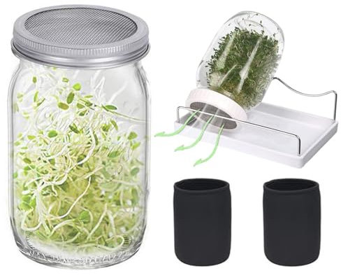 Kit per la germinazione dei semi, 2 pezzi, supporto per la germinazione in acciaio inox da 950 ml, barattolo di vetro standard a bocca larga con 2 manicotti e un per germogli di semi