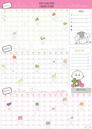 Calendrier poster 9 mois livre de bord suivi de grossesse jour après jour (ROSE)