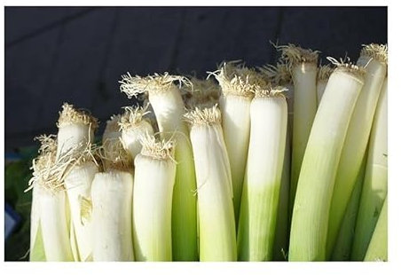 Pcs - 30x Poireau Winterriesen Allium Porrum Légumes Jardin Plantes - Graines KS269 - Seeds & Plants Shop by Ipsa