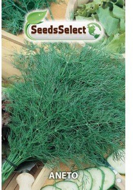 Semi Aneto,Erba Aromatiche o officinali,2 buste Maxi