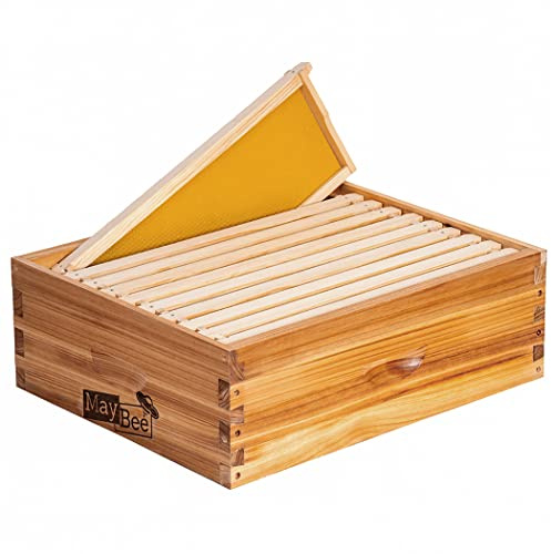 10-Frame Beehive Box Langstroth Medium Super Bee Box for Sale Wax Coated Bee Hives Includes Wooden Frames & Waxed Foundations (Unassembled)