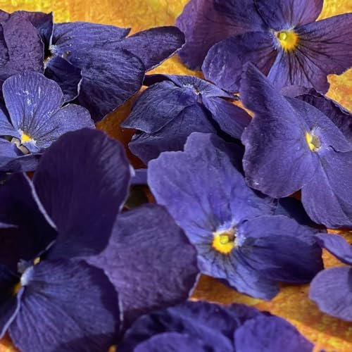 Edible Flowers - Freeze Dried Purple Violas – 20 Heads - UK Product – Certified Food Grade (526)
