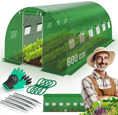 KESSER® Serre en film stable avec 12 fenêtres avec moustiquaire et porte | Tunnel de jardin avec cadre en acier galvanisé | Tunnel en film 170 g/m² avec piquets d'ancrage au sol gants et cordes | 600