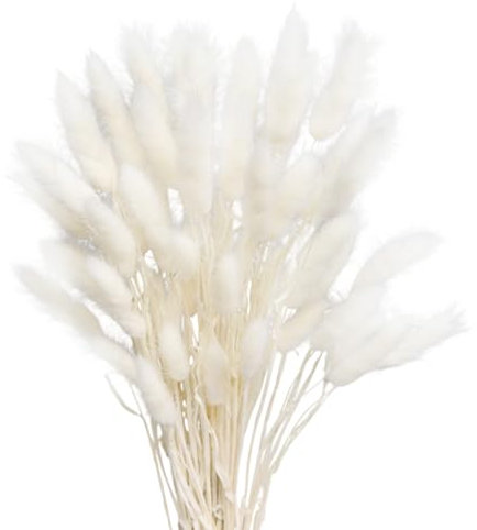 Vellivar White Bunny Tails Pampas Grass Home Decor Dried Grasses for Vases Cake, 50pcs Rabbit Tails Bouquet Small Dried Flowers Table Decoration Room