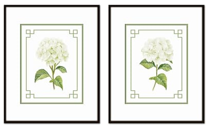 Belle Maison Art White Hydrangea Chinoiserie Set No. 2, Vintage Botanical Wall Art, Bedroom Kitchen Living Room Office, 8X10 SET OF 2, Smooth Matte Paper Prints, Unframed