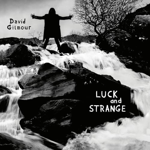 Luck And Strange [Black Vinyl] [VINYL]