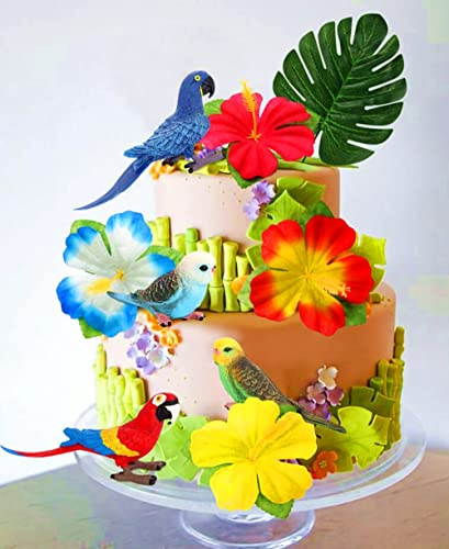 JeVenis decoración de pastel de cumpleaños de loro jevenis, decoración de cupcakes de pájaro tropical, decoración de pastel de pájaro tropical, decoración de fiesta de cumpleaños de loro