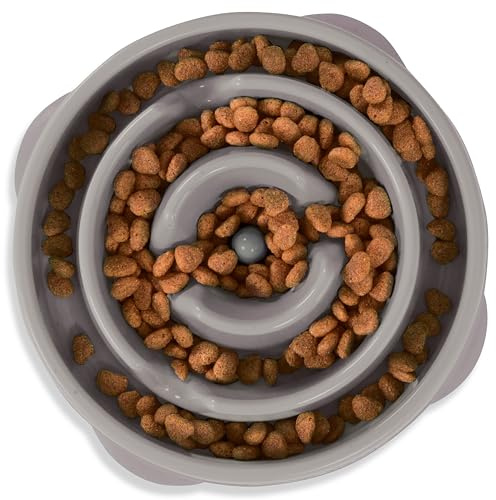 Outward Hound Slow Feeder Dog Bowl - Makes Meal Time Fun, Slows Down Eating, Promotes Healthy Digestion, Prevents Bloat | Slip Resistant and Durable, Food & Water Bowl, Size Medium (Grey)