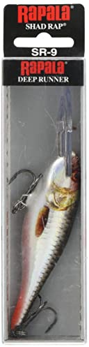 Rapala - Shad Rap Angelköder - Angelzubehör mit Balsa-Konstruktion - Süßwasser Spinnköder - Lauftiefe 2.4-4.5m - Fischköder 9cm, 15g - Hergestellt in Estland - Live Hologram Roach