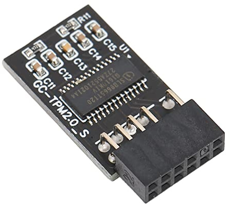 Módulo de Seguridad de Cifrado TPM 2.0 Compatible con Tarjeta Remota Actualización de 11 Módulo LCP SPI TPM2.0 de 12 Pines para Placas Base para