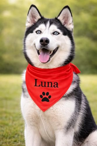 Bandana Chien Personnalisé avec Nom – Foulard pour Chien Personnalisable avec Texte & Symbole – Lavable – Fabriqué et Personnalisé en Europe (XL, Couleur Unie)