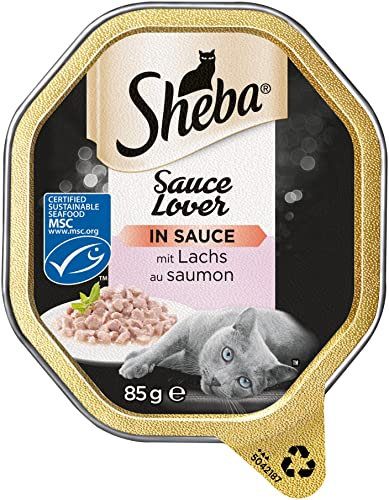 Sheba Sauce Lover – Feine Lachshäppchen (MSC) mit Sauce für ausgewachsene Katzen – 22 x 85g Katzennahrung in der Schale