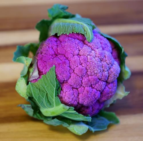 Violetter Blumenkohl – Violetta di Sicilia – 100 Samen