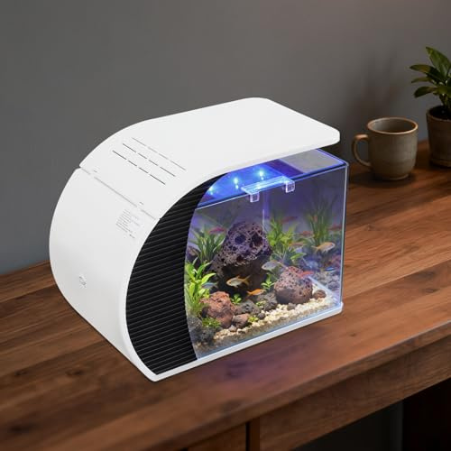 Piccolo set completo per acquario con pompa dell'acqua, illuminazione a LED e sistema di filtraggio integrato, serbatoio in vetro per la casa e l'ufficio per gamberetti di pesce, 42,3 x 22,6 x 1,5 cm