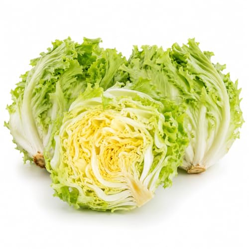 1000 Semi Indivia Scarola Bionda a Cuore Pieno – Varietà Rustica e Produttiva | Semi da Orto per Insalata Croccante | Ideale per Orto, Giardino e Coltivazione Domestica