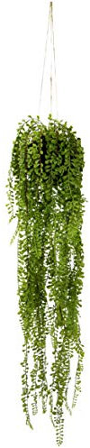 Künstlicher Senecio Hänger in Hängeampel auf Erdballen Grünpflanzen Kunstpflanze Pflanze Zimmerpflanze Seidenblumen Dekopflanze Deko Grün Erbse am Band Erbsenpflanze Perlenschnur Busch Sträucher