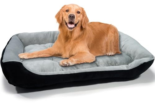 Hundebett Mittelgroße Hunde, mit erhöhte Ränder und abwaschbar Hundebetten, Hundematratze mit rutschfestem Boden, Hundematte für große mittelgroße Hunde-80×60×15cm (Grau)